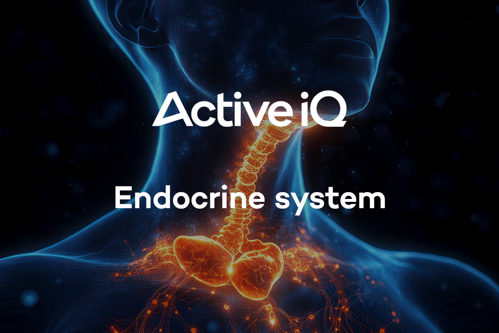 Active IQ eLearning - Endocrine system