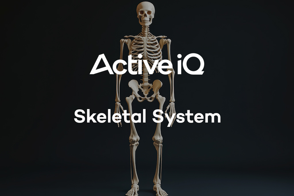 Active IQ eLearning - Skeletal System