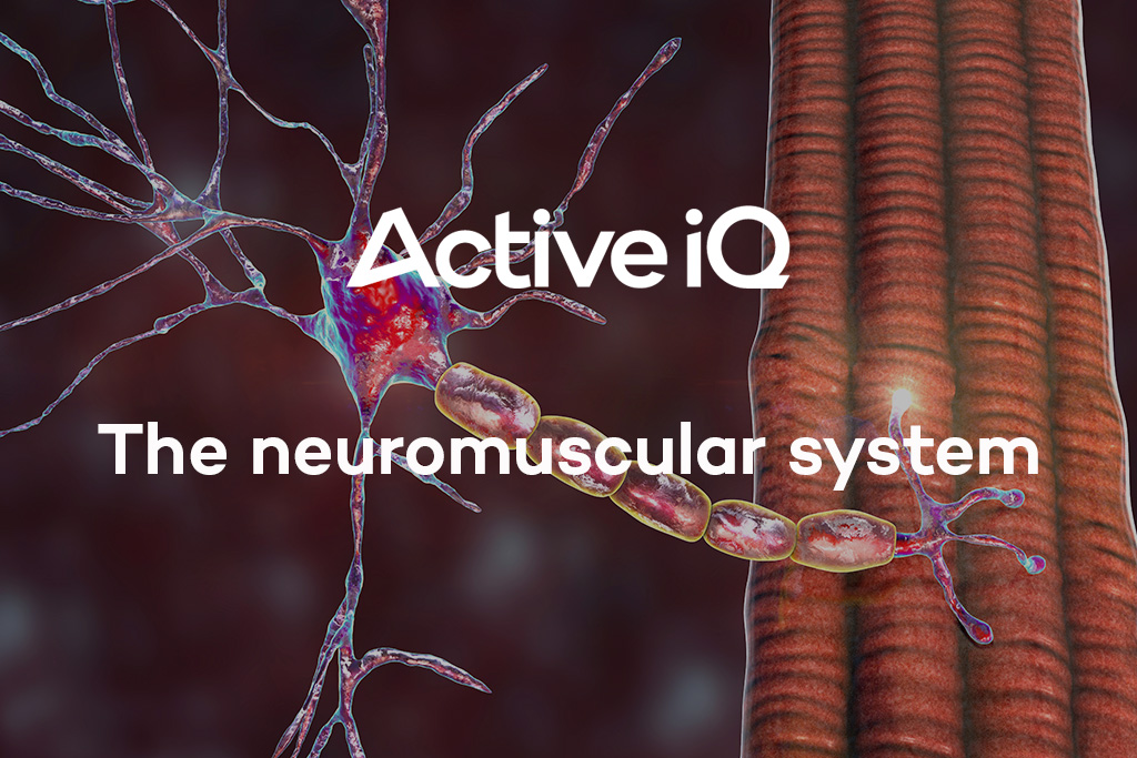 Active IQ eLearning - The neuromuscular system