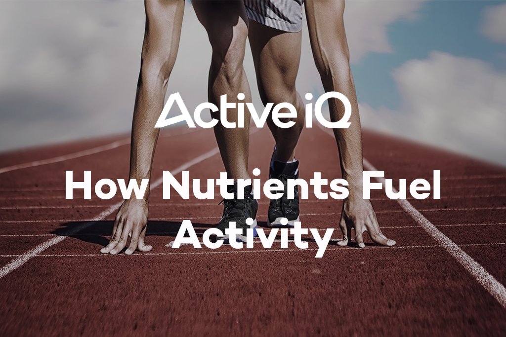 Active IQ eLearning - How nutrients fuel activity