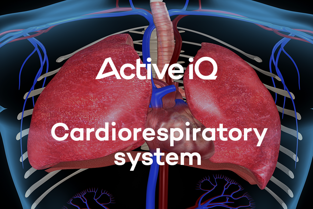 Active IQ - Cardiorespiratory System